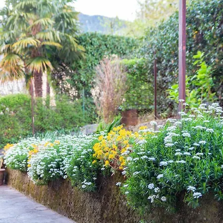 Casa Alice Appartement Lierna